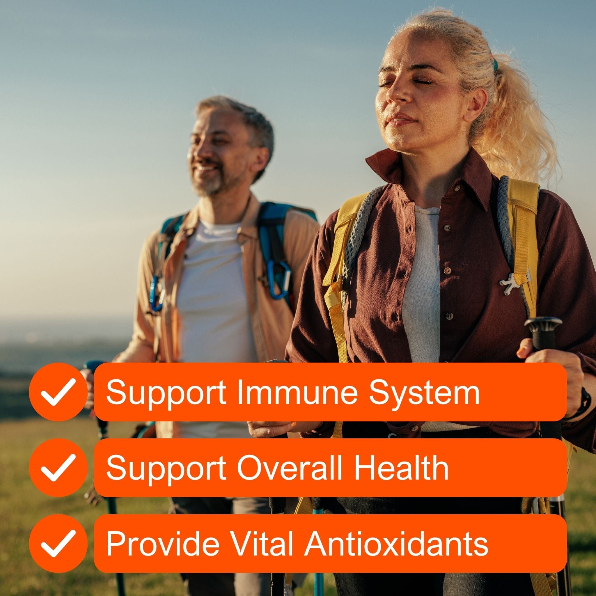 MetAvo Monthly Supply 60 Capsules Immune Health