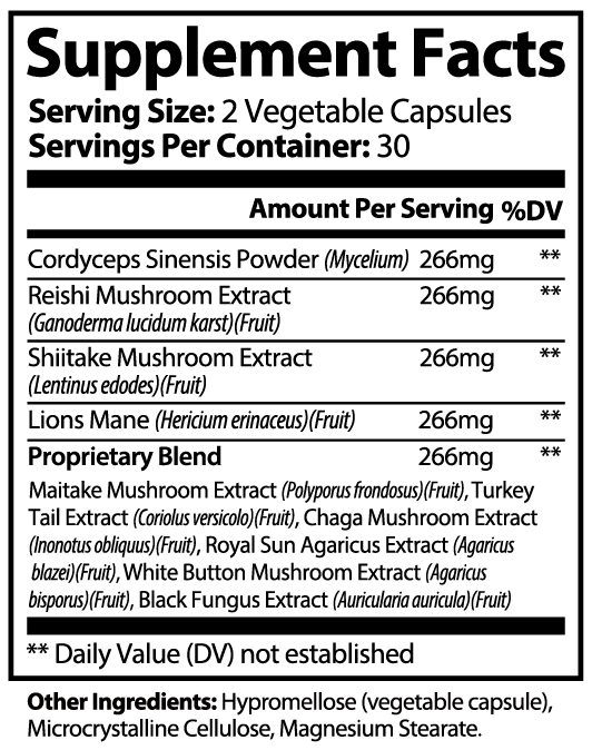 Supliful Natural Extracts Mega Mushrooms Lion's Mane | Chaga | Cordyceps | Reishi | 30 Serve